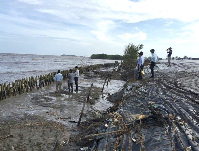 Kè khẩn cấp bảo vệ đê biển Tây, đoạn từ cống Kênh Mới hướng về phía Đá Bạc (huyện Trần Văn Thời, Cà Mau). (Ảnh: Kim Há/TTXVN)