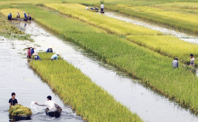 Tài chính nông nghiệp - nông thôn: Hướng đến sự bền vững tài chính cho người nghèo