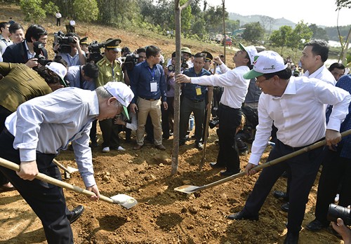 Tổng bí thư, Chủ tịch nước Nguyễn Phú Trọng phát động Tết trồng cây 2019. Ảnh: VGP.