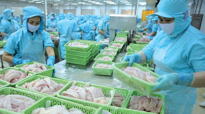 Xuất khẩu thủy sản quý I/2023 giảm 27%, Vasep kiến nghị 7 vấn đề lớn