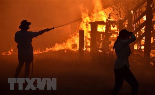 Hiện trường vụ cháy rừng tại Hillsville ở gần Taree, Australia. (Ảnh: AFP/TTXVN)