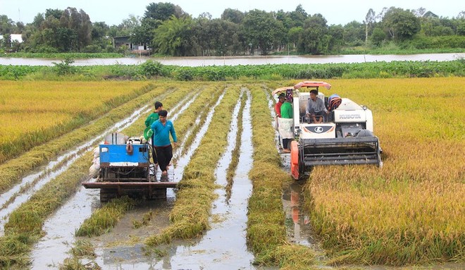 6 tháng đầu năm Tập đoàn Lộc Trời (LTG) báo lãi sau thuế 116 tỷ đồng