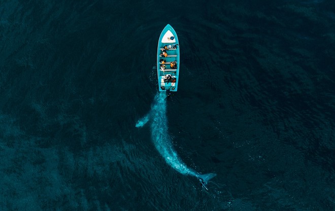 Những bức hình đẹp nhất, ấn tượng nhất của cuộc thi nhiếp ảnh Drone Photo Awards 2020