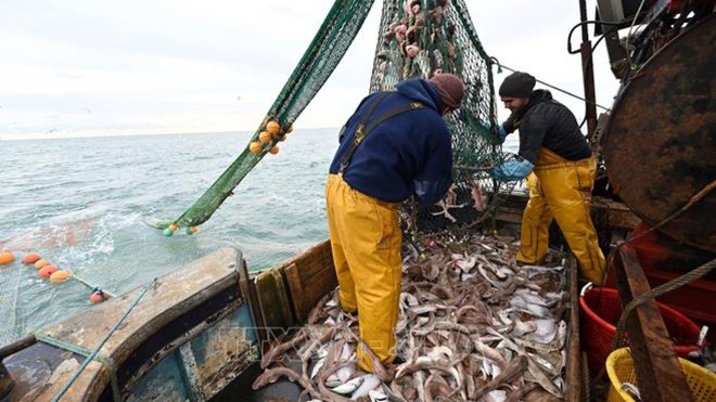 Ngư dân đánh bắt cá ở ngoài khơi bờ biển phía Đông Nam Anh ngày 12/10/2020. Ảnh: AFP/TTXVN.