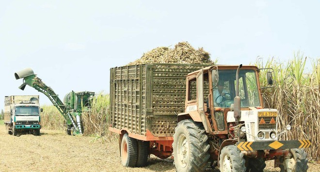 Giá bán tăng, biên lợi nhuận được cải thiện, cổ phiếu mía đường được kỳ vọng sẽ tiếp tục mang lại vị ngọt cho nhà đầu tư.