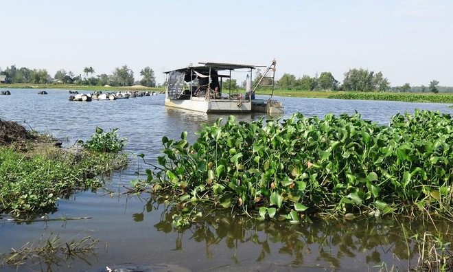 Dự án khơi thông sông Cổ Cò đang được TP. Đà Nẵng và tỉnh Quảng Nam đẩy nhanh tiến độ.