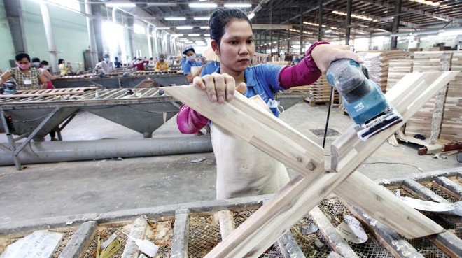 Sau nhiều năm tái cơ cấu, Gỗ Trường Thành đang bị nghi ngờ khả năng hoạt động liên tục.