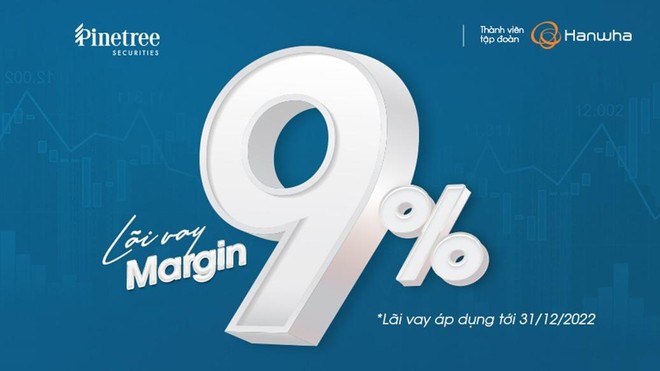 Phản ứng nhà đầu tư trái ngược khi Pinetree vẫn giữ lãi margin thấp 9%