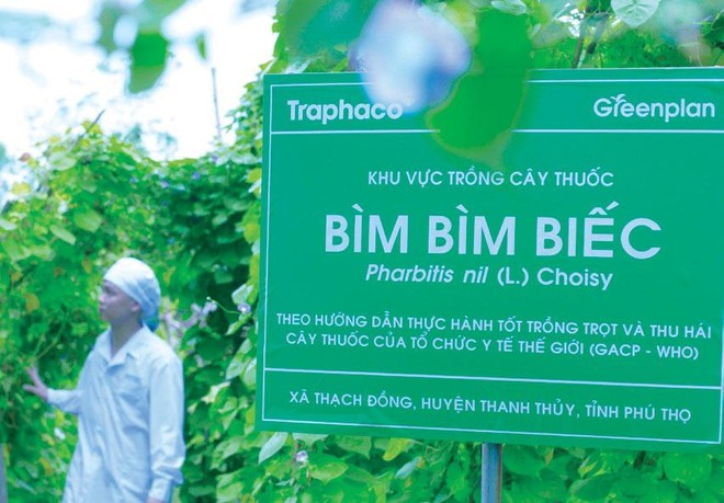 Traphaco luôn đảm bảo cân bằng 3 mục tiêu: tăng trưởng kinh tế gắn với bảo tồn hệ sinh thái xanh và phát triển cộng đồng xã hội.