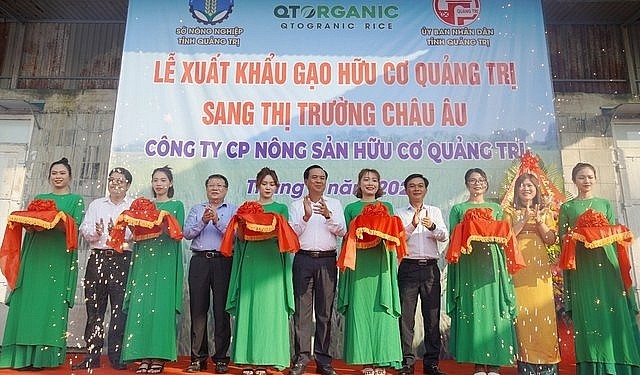 Lần đầu tiên, 15 tấn gạo hữu cơ của tỉnh Quảng Trị được xuất khẩu sang châu Âu.