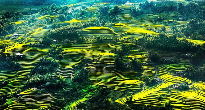 Ruộng bậc thang ở Hà Giang.