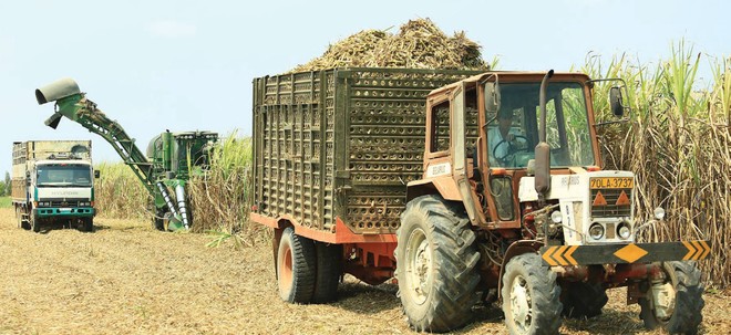 Sức cạnh tranh của các doanh nghiệp sản xuất mía đường đã tốt hơn, nhưng giá thành sản xuất nhìn chung vẫn cao.