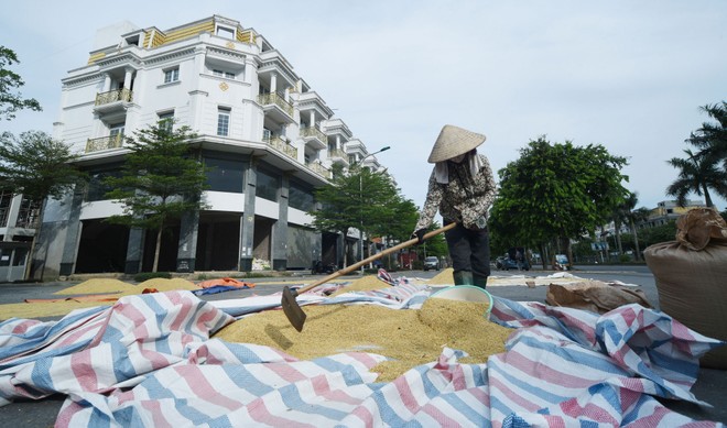 Sẽ mất một thời gian dài nữa để bất động sản bước vào “vụ mới”.