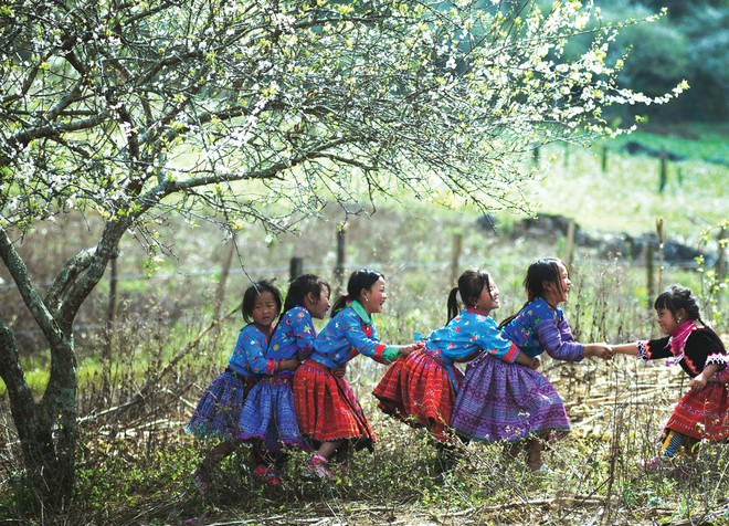 Những mùa xuân đến trong đời