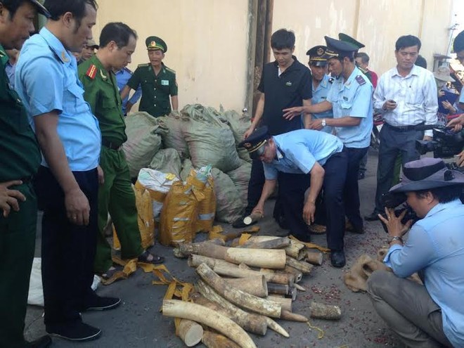 Buôn lậu động vật hoang dã luôn là vấn đề nhức nhối thời gian qua