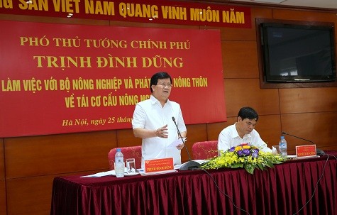 Phó Thủ tướng Trịnh Đình Dũng phát biểu tại buổi làm việc. Ảnh: VGP