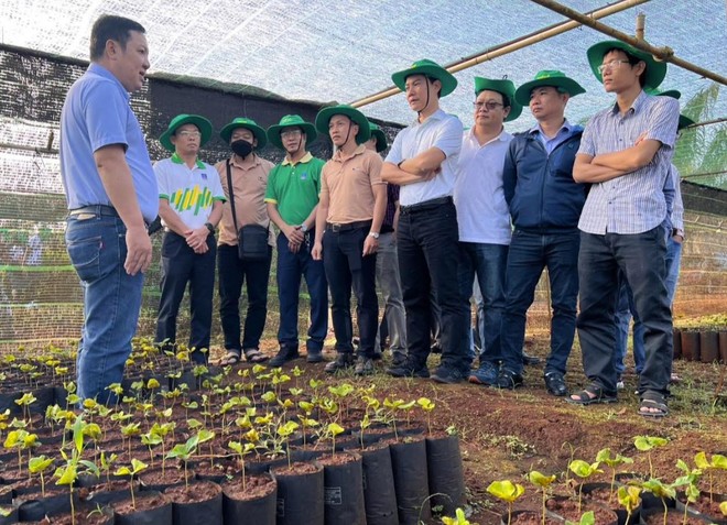 Các kỹ sư Nhà máy NPK Phú Mỹ tham gia thực địa, tìm tòi nhằm nâng cao, cải tiến cho sản phẩm NPK Phú Mỹ