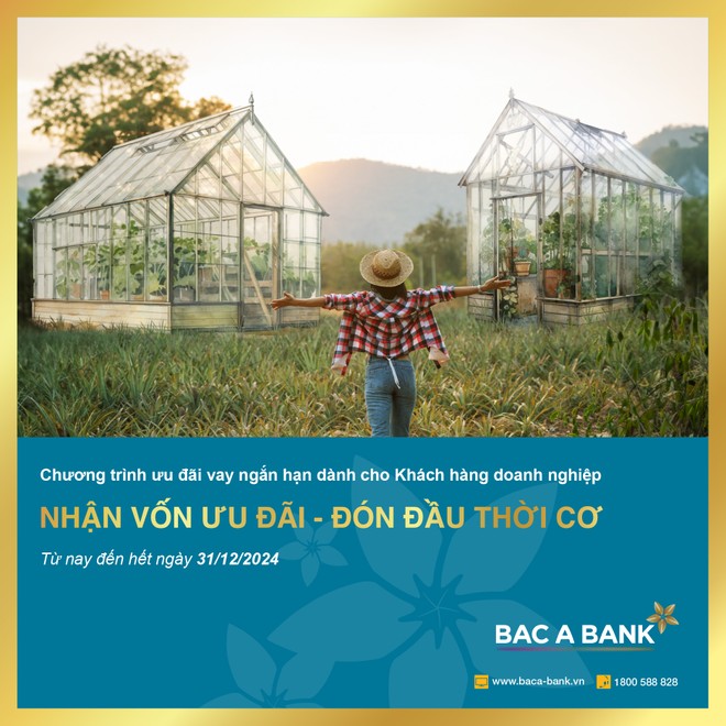 BAC A BANK: Ưu đãi lãi suất cho doanh nghiệp vay ngắn hạn