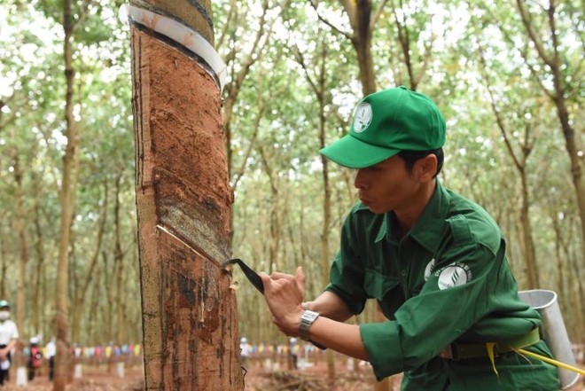 PHR: Giá cổ phiếu ngược chiều lợi nhuận