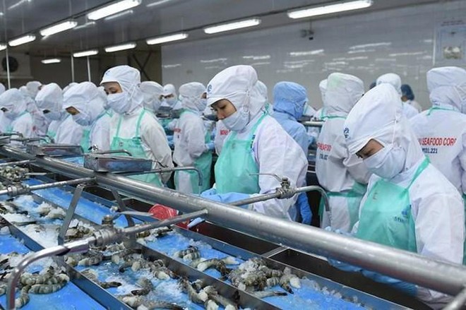 Thực phẩm Sao Ta (FMC): Quý IV/2021, lợi nhuận tăng 73,6% lên 110,4 tỷ đồng