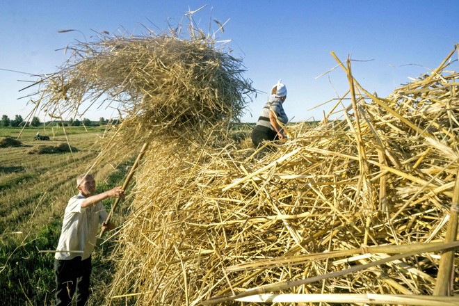 Quốc gia châu Á nào được hưởng lợi và thiệt hại từ cuộc xung đột Nga - Ukraine?