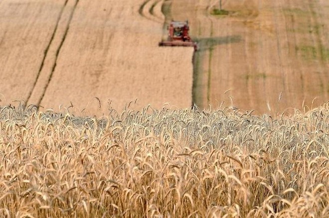 Liên Hợp quốc: Tác động của xung đột Ukraine đối với thế giới đang tồi tệ hơn