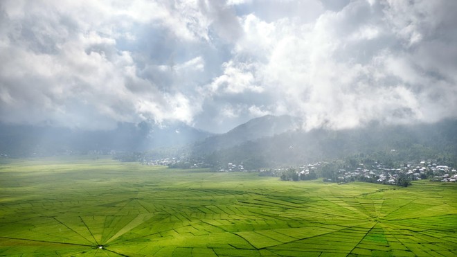 Giá gạo có thể là mặt hàng tăng mạnh kế tiếp giữa bão giá lương thực