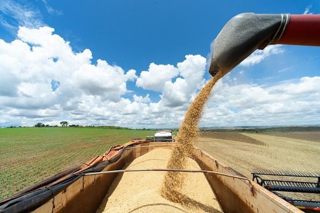 Hiện tượng El Nino có thể khiến giá lương thực biến động mạnh hơn