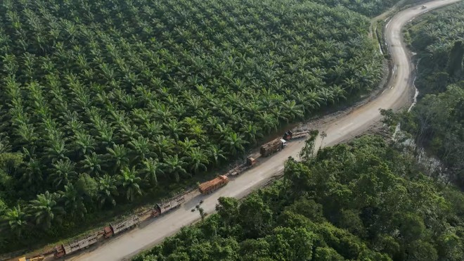 El Nino đang dần gây tác động tiêu cực ở Đông Nam Á