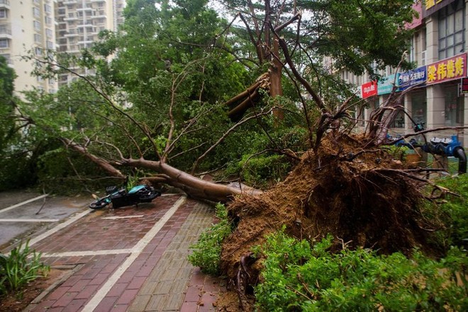 Thiệt hại kinh tế tháng 7 của Trung Quốc do thiên tai vượt quá sáu tháng đầu năm