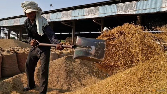 Indonesia đang cân nhắc nhập khẩu 1 triệu tấn gạo từ Ấn Độ vào năm tới