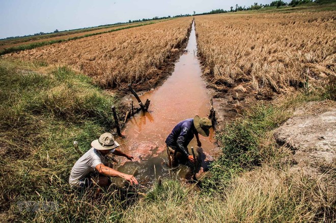 Ngành ngân hàng ủng hộ 15 tỷ đồng chống hạn hán, xâm nhập mặn