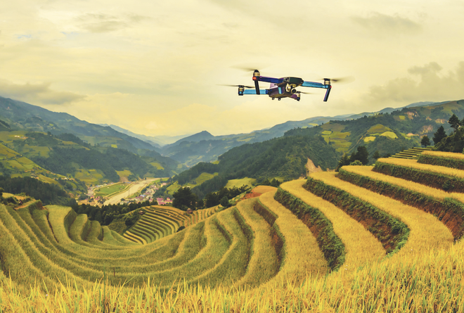 Máy bay không người lái bay trên cánh đồng trong hoàng hôn Mù Căng Chải, Yên Bái, Việt Nam; Nuttawut Uttamaharad/Shutterstock; Báo cáo Điểm lại của Ngân hàng Thế giới.