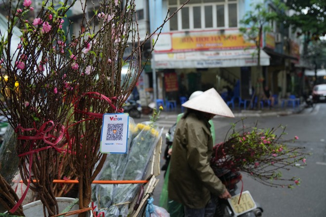 NAPAS: Đảm bảo hạ tầng thanh toán dịp Tết Giáp Thìn 2024 