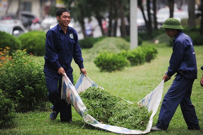 Hà Nội cắt cỏ trở lại: Người dân đỡ cảnh bị cỏ bít lối