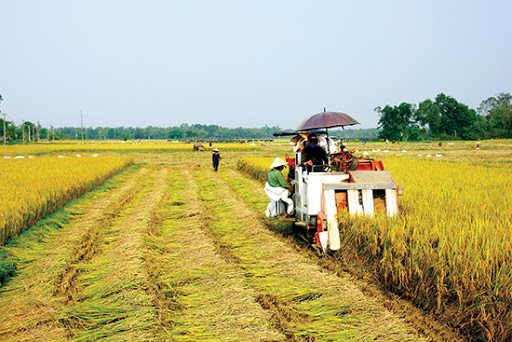 Nông nghiệp khẳng định vai trò là trụ đỡ của nền kinh tế trong khó khăn, theo đánh giá của Chính phủ.