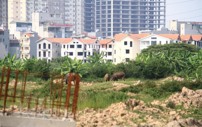 Đất nền đang sốt nóng ở nhiều địa phương. Ảnh: Thành Nguyễn