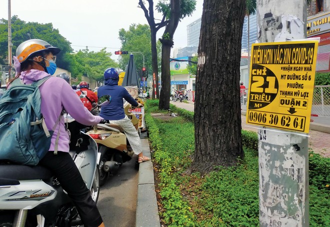 Chiêu quảng cáo bán nhà mùa dịch. Ảnh: Lê Toàn