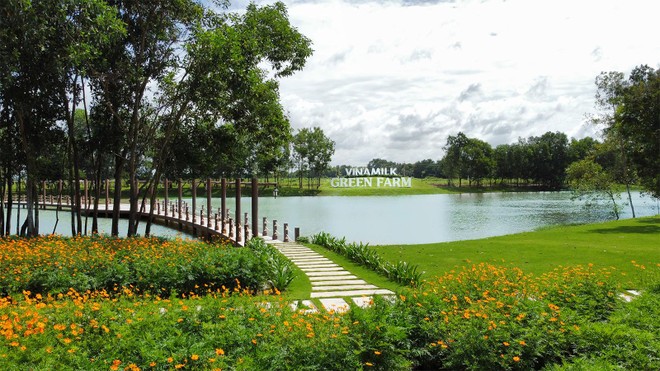 Hệ thống Trang trại sinh thái Vinamilk Green Farm tại Tây Ninh, Thanh Hóa, Quảng Ngãi