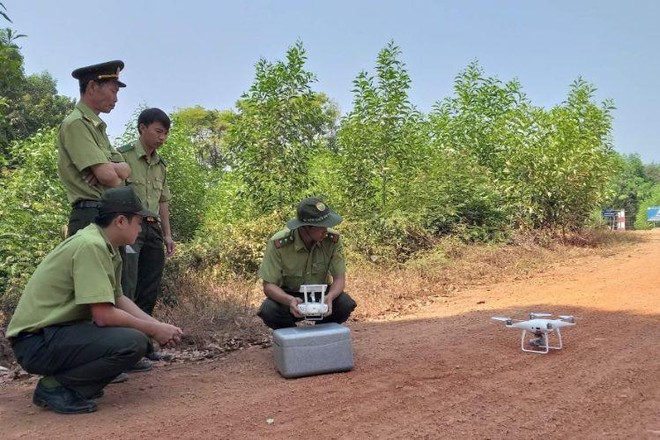 Nâng cao năng lực cho lực lượng kiểm lâm trong công tác quản lý, bảo vệ rừng và phòng cháy, chữa cháy rừng. (Ảnh minh họa. Nguồn: Internet).