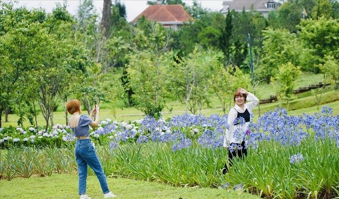 Chủ đề của Festival hoa lần này là "Đà Lạt - Thành phố bốn mùa hoa". Ảnh: Mai Nhiên