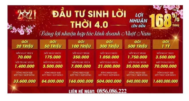 Bảng lợi nhuận hấp dẫn của bất động sản Nhật Nam khiến nhiều nhà đầu tư lóa mắt.