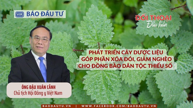 Phát triển cây dược liệu góp phần xóa đói, giảm nghèo cho đồng bào dân tộc thiểu số 