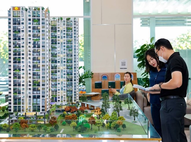 Khách hàng tham quan dự án Phú Đông Sky Garden. Ảnh: Trọng Tín 