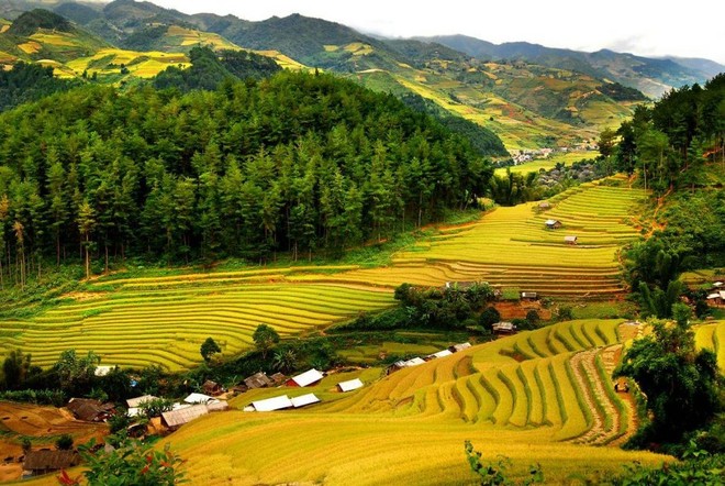 Pù Luông là điểm đến hấp dẫn đối với khách du lịch khi đến tỉnh Thanh Hoá - Ảnh: Treviettours