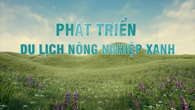 Phát triển nông nghiệp xanh, bền vững gắn với mô hình du lịch nông thôn 