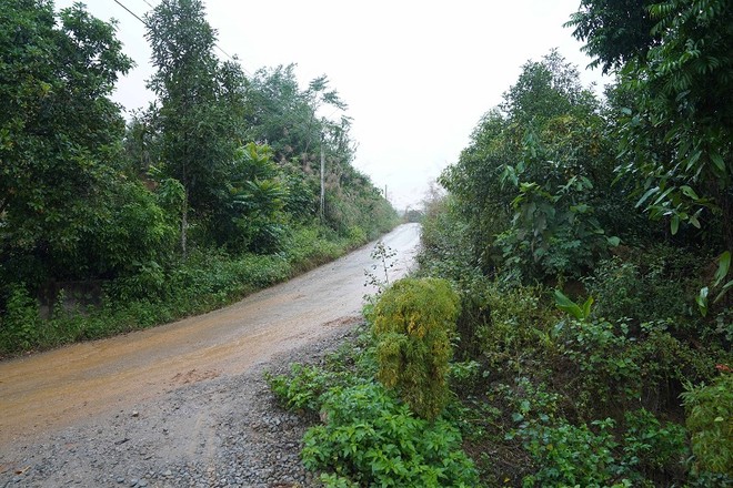 Chuyển đổi mục đích sử dụng đất luôn là bài toán khó của các địa phương có nhiều rừng. Ảnh: Mỹ An.