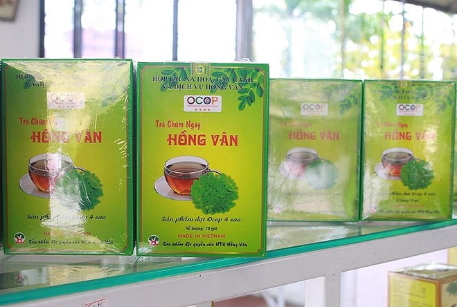 Sản phẩm Trà chùm ngây của Hợp tác xã hoa, cây cảnh và dịch vụ Hồng Vân (huyện Thường Tín, TP. Hà Nội).