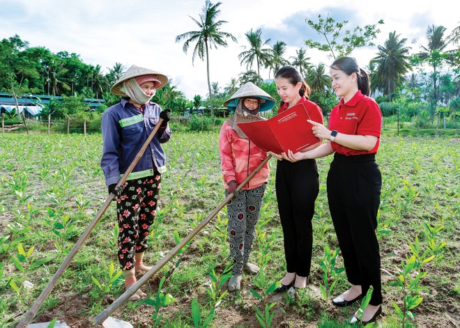 Các sản phẩm bảo hiểm bảo vệ người nông dân như bảo hiểm chỉ số thời tiết đã xuất hiện tại Việt Nam