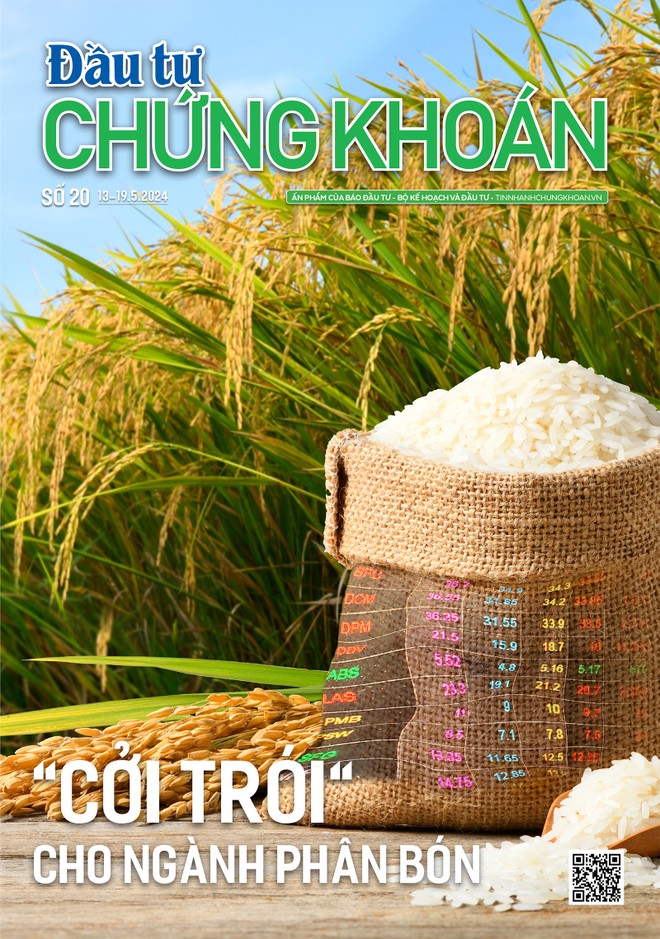 Báo Đầu tư Chứng khoán số 20